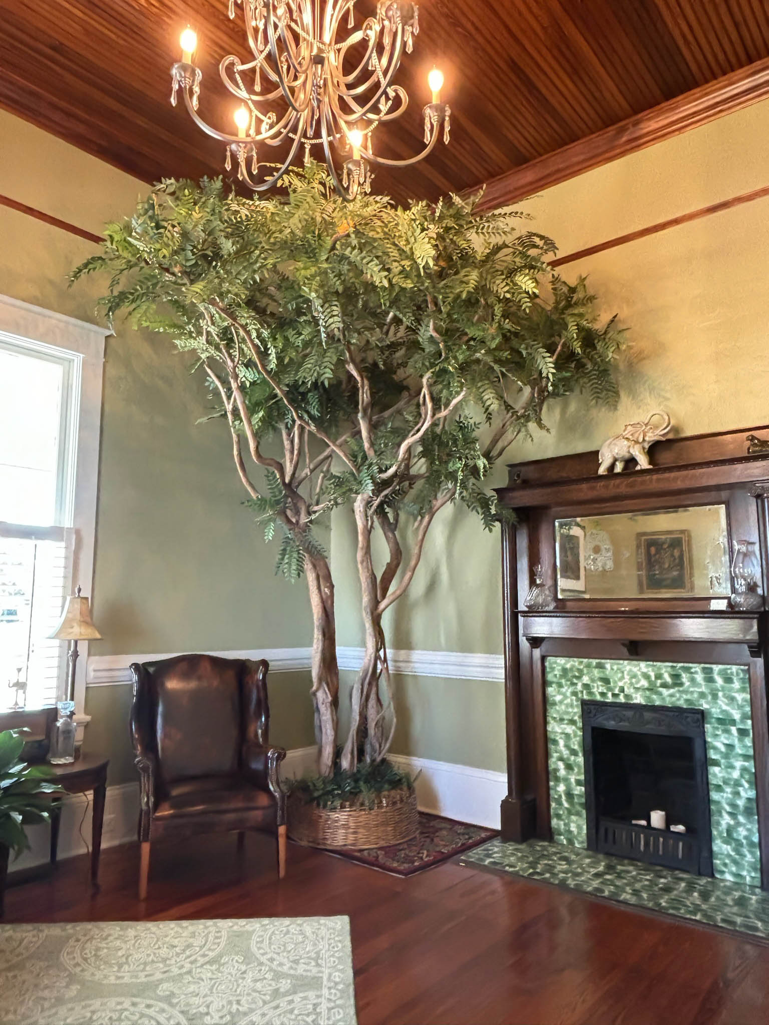 Gentleman's Safari Lounge